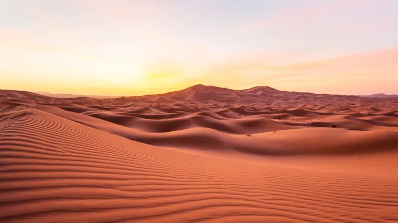 Desert du Sahara